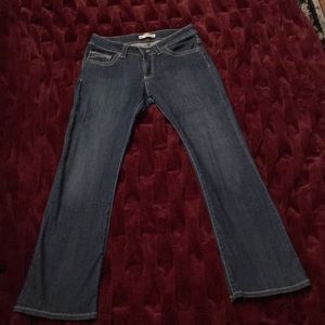 Lee Slender Secret Lower on the Waist Jeans